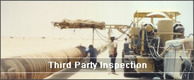 Third Party Inspection